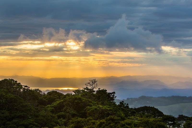 Bosque nuboso de Monteverde en Costa Rica