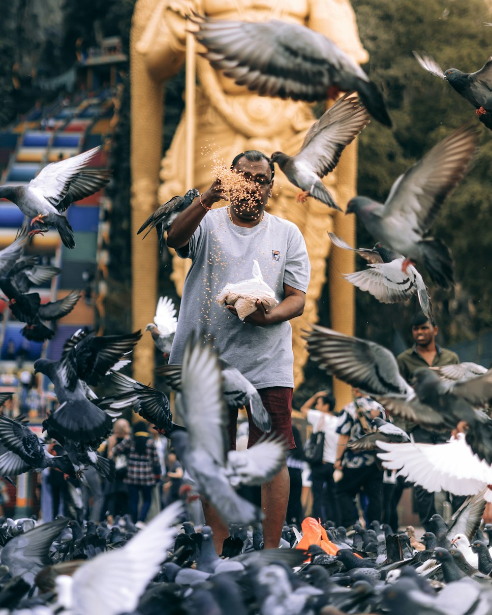 man in white long sleeve shirt and black pants standing in front of flock of birds