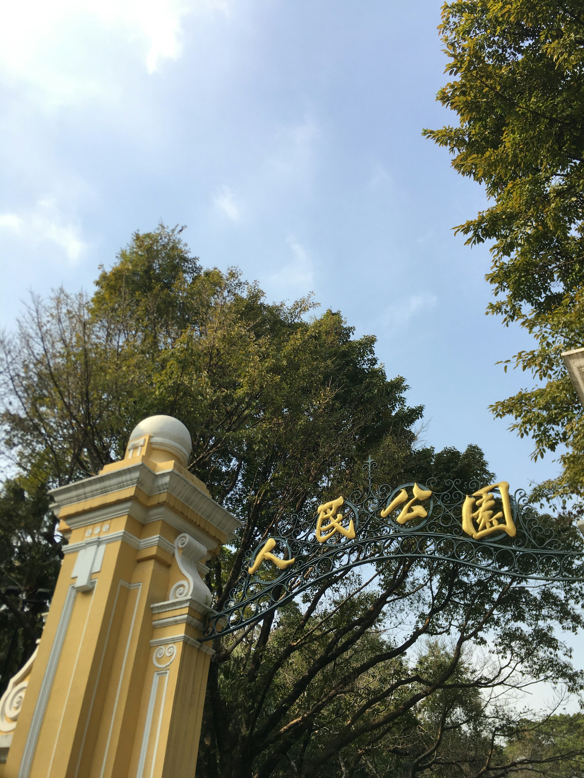 gray computer monitor