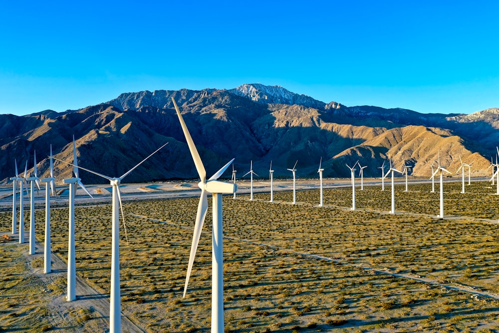 white wind turbines on brown sand during daytime