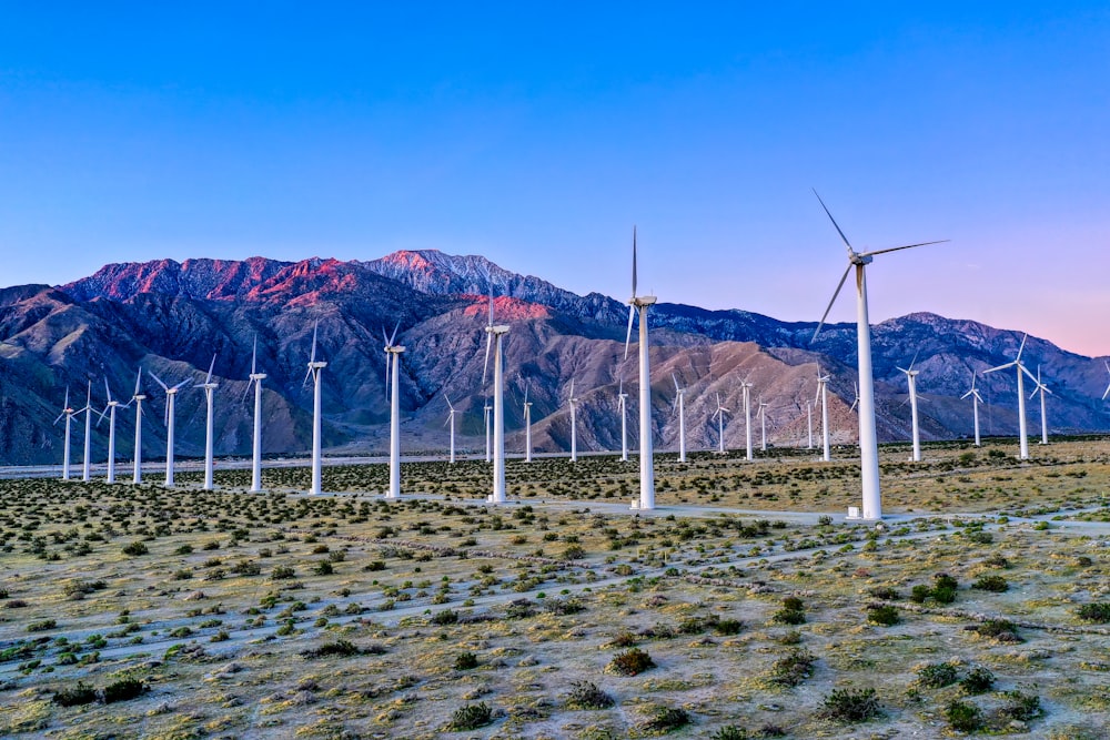 white wind turbines on brown sand during daytime