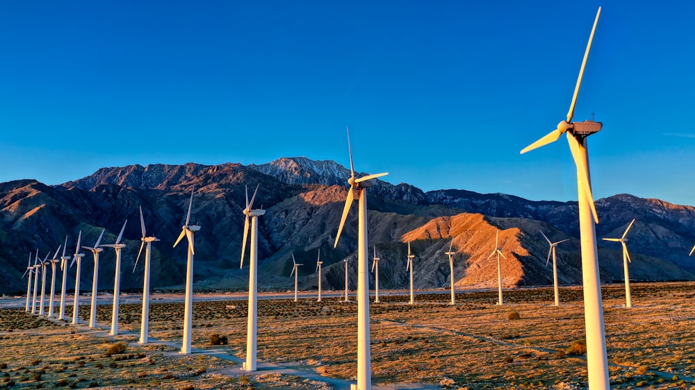 a bunch of windmills in a field with mountains in the background