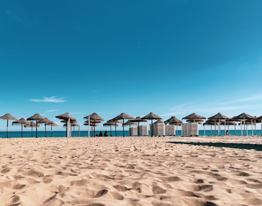 brown and white beach umbrellas on beach during daytime in Fuengirola Spain