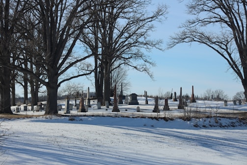 A snow-covered cemetery with several tombstones of varying sizes and shapes is bordered by large, leafless trees. The sky is clear with a pale blue hue, adding a sense of tranquility to the scene.
