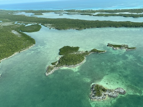 aerial view of green and brown island
