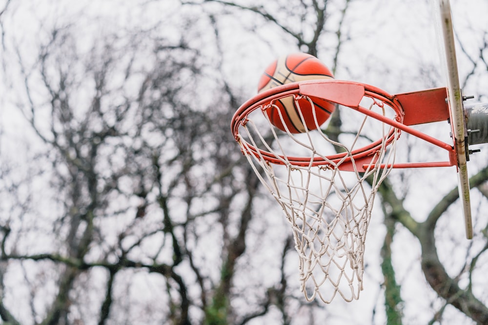 orange basketball on white net