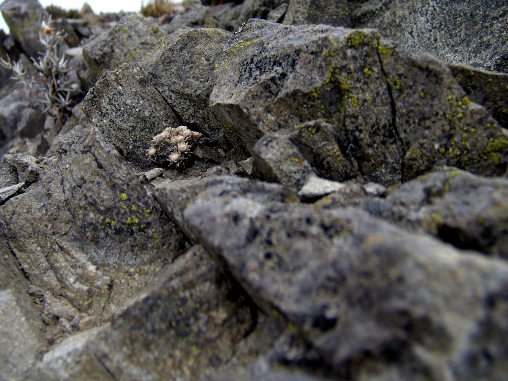 gray and black rock formation during daytime