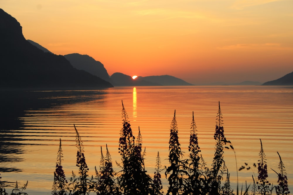 silhouette of mountain near body of water during sunset