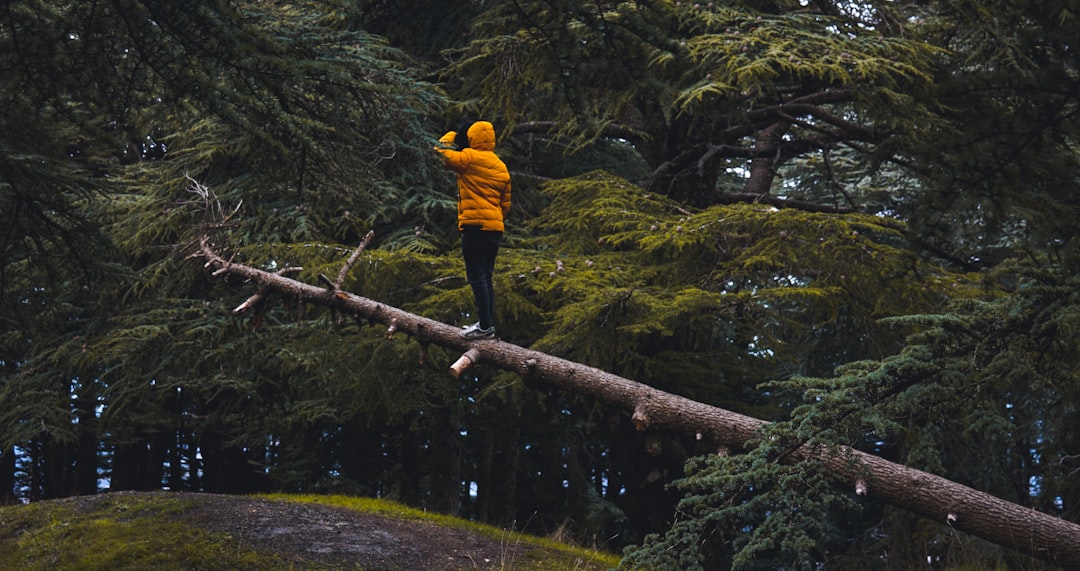 person in yellow jacket and black pants standing on brown wooden log during daytime