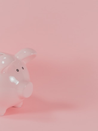 pink ceramic pig coin bank