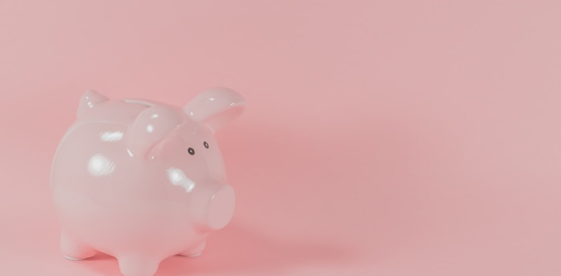 pink ceramic pig coin bank