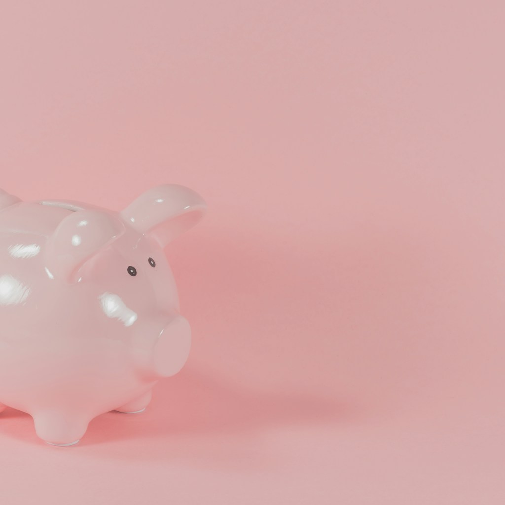 pink ceramic pig coin bank