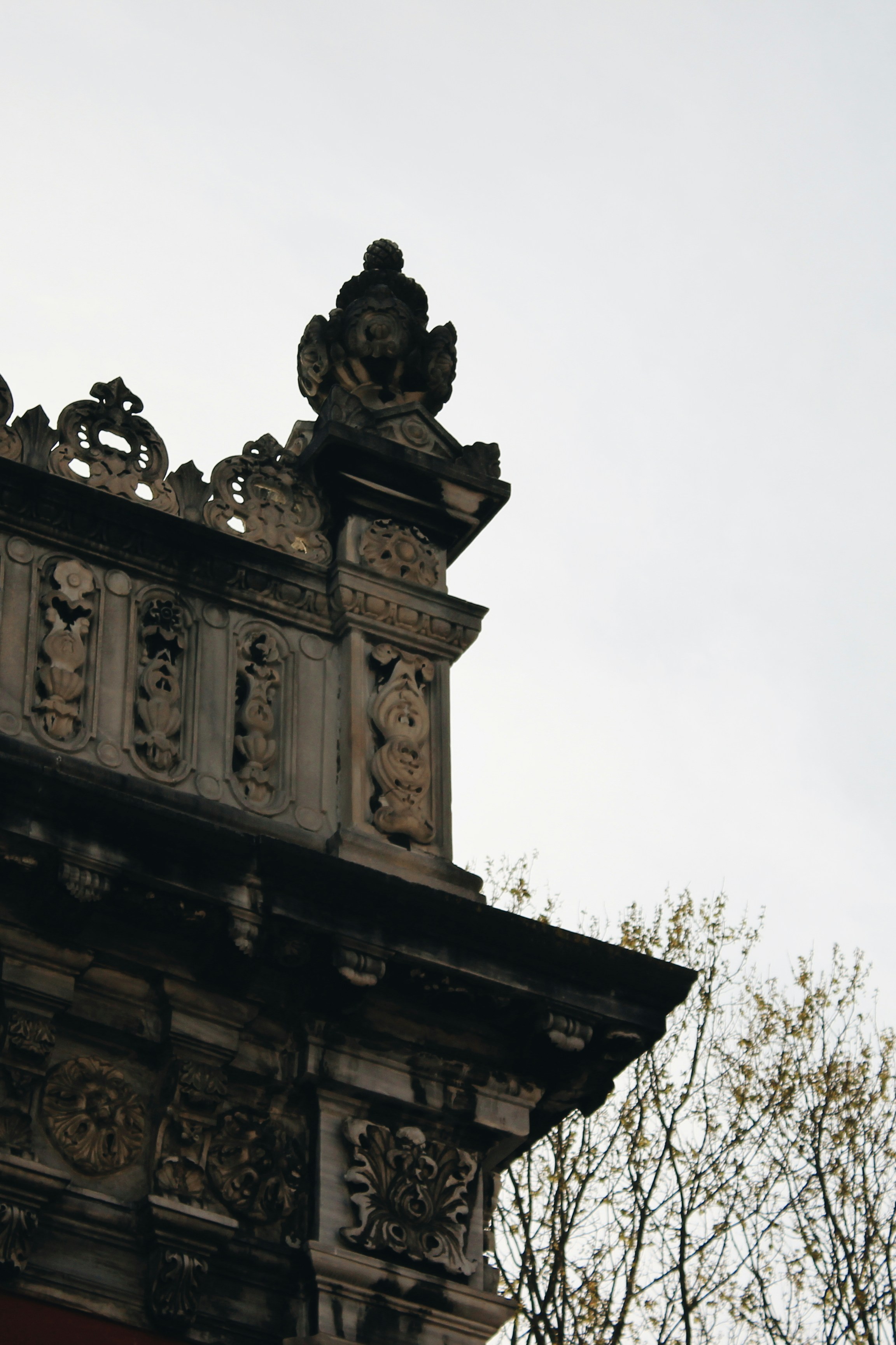 Photo by colorartistanbul