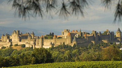 brown concrete castle under cloudy sky during daytime