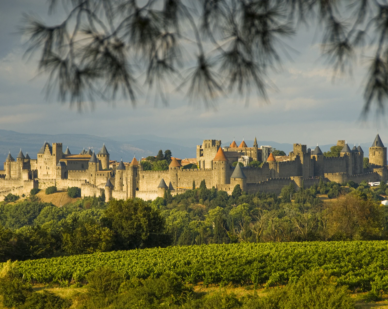 The walled Cité on its hill above the vineyards — Carcassonne, France