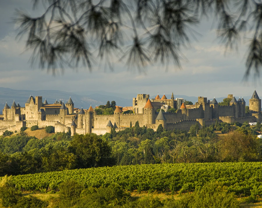 Basilica of Saint-Nazaire, Carcassonne, France — travel destination