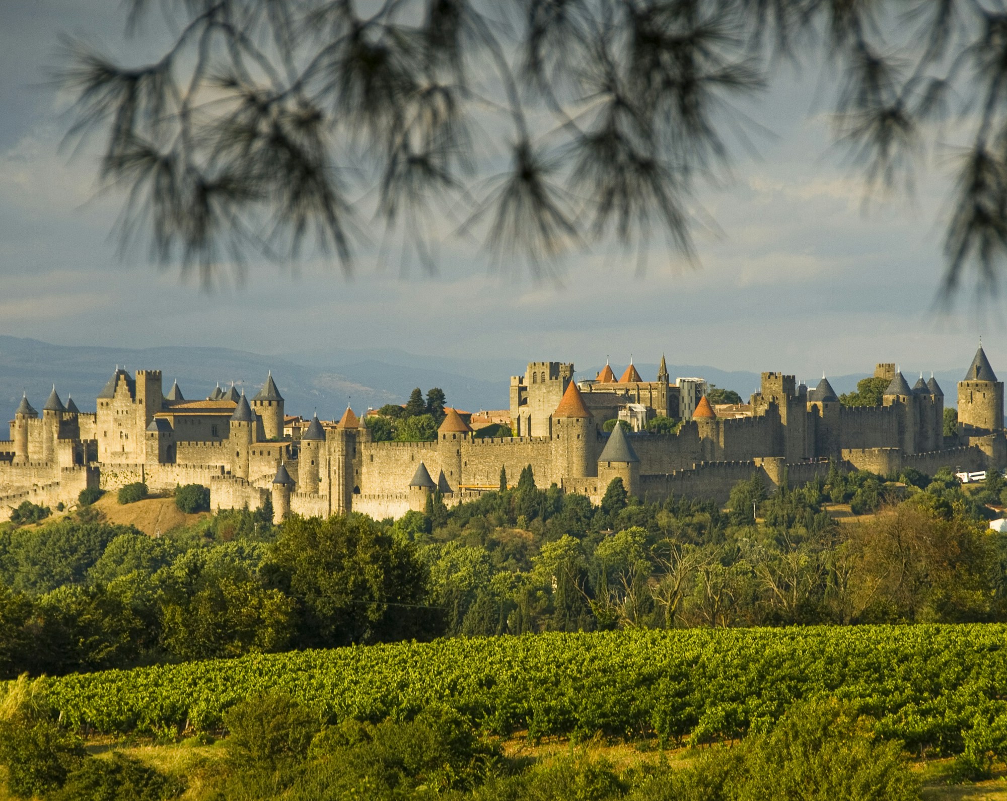Carcassonne: Exploring Culture, Traditions & Festivals