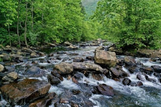 gray rocks on river during daytime