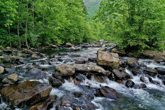 gray rocks on river during daytime