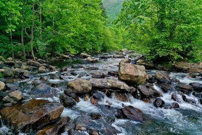 gray rocks on river during daytime virginia teams background