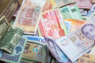 singapore dollar: singapore itinerary