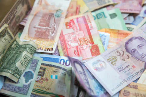 10 and 50 banknotes on white textile