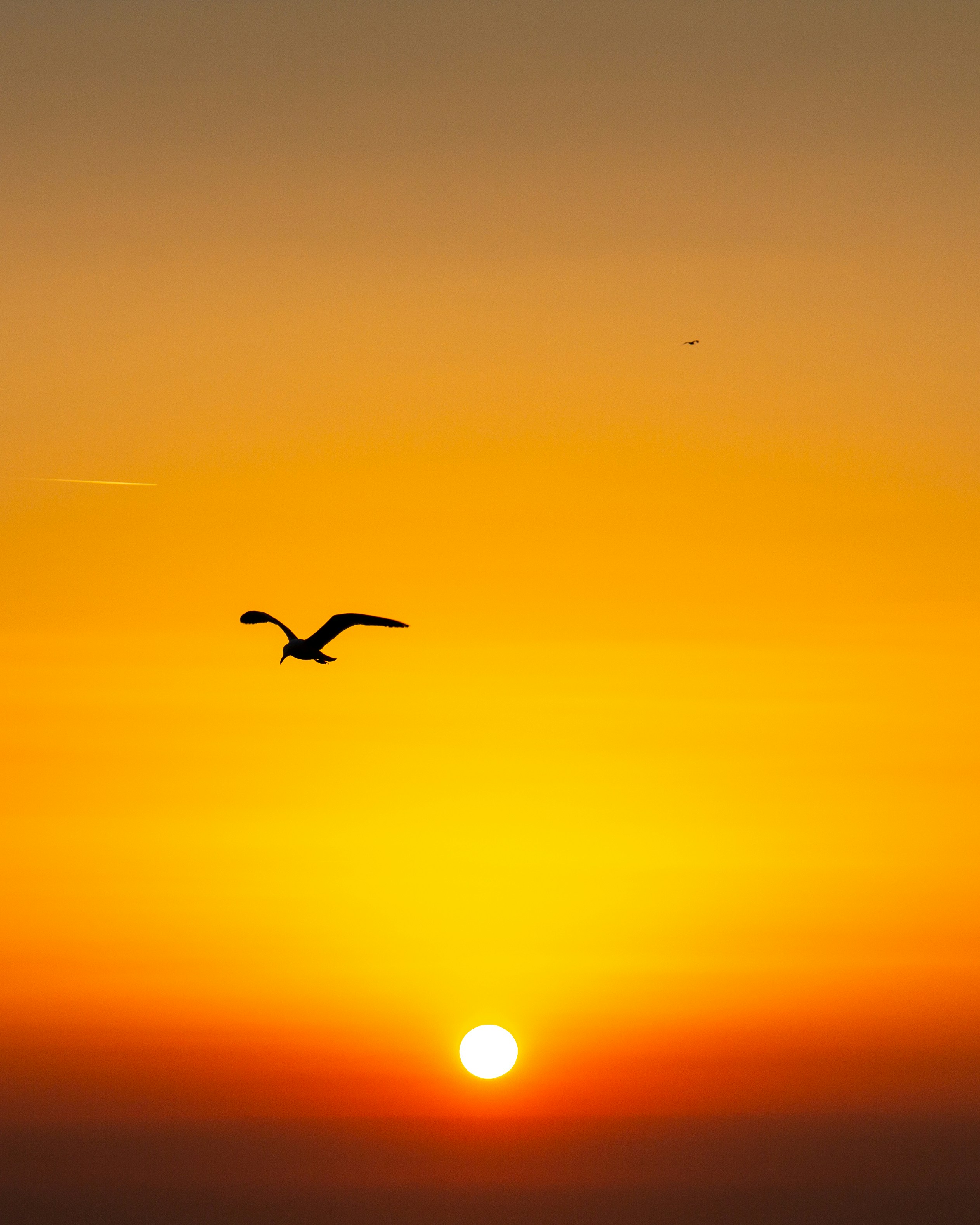 Photo by william_sinclair