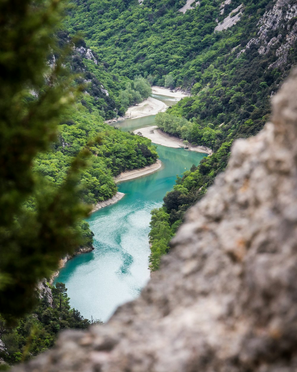 rio entre árvores verdes durante o dia