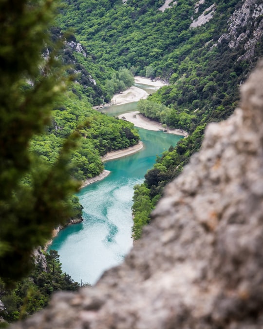 river between green trees during daytime in Gorges du Verdon France