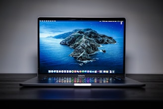 black and gray laptop computer