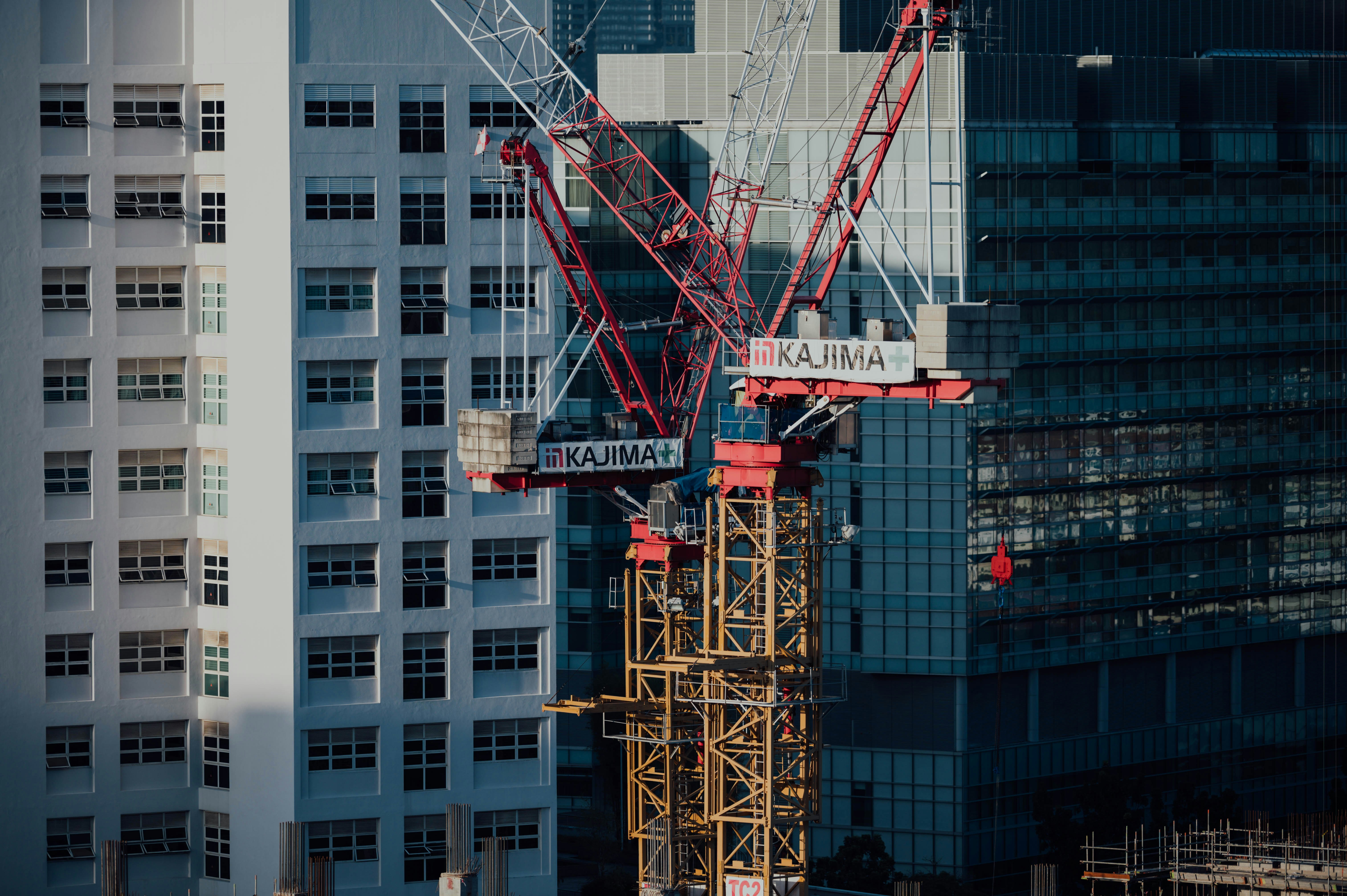 ì§ì¥ì¸ ì ì¬ ëìë½ ì¶ì²