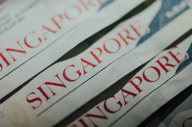 A close-up of official tax documents stamped by CIT and IRAS authorities.