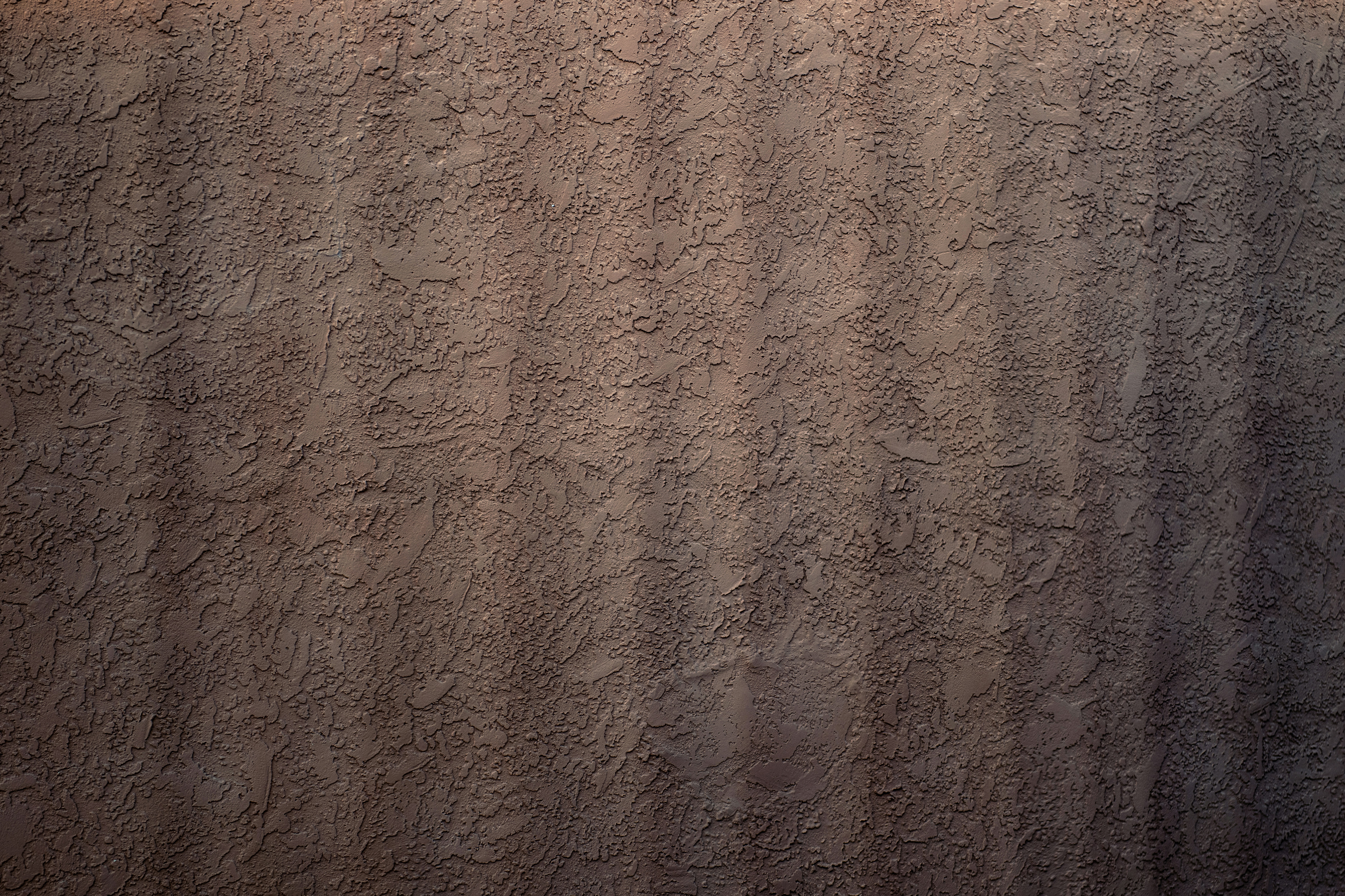 PRivaCY Coin header image