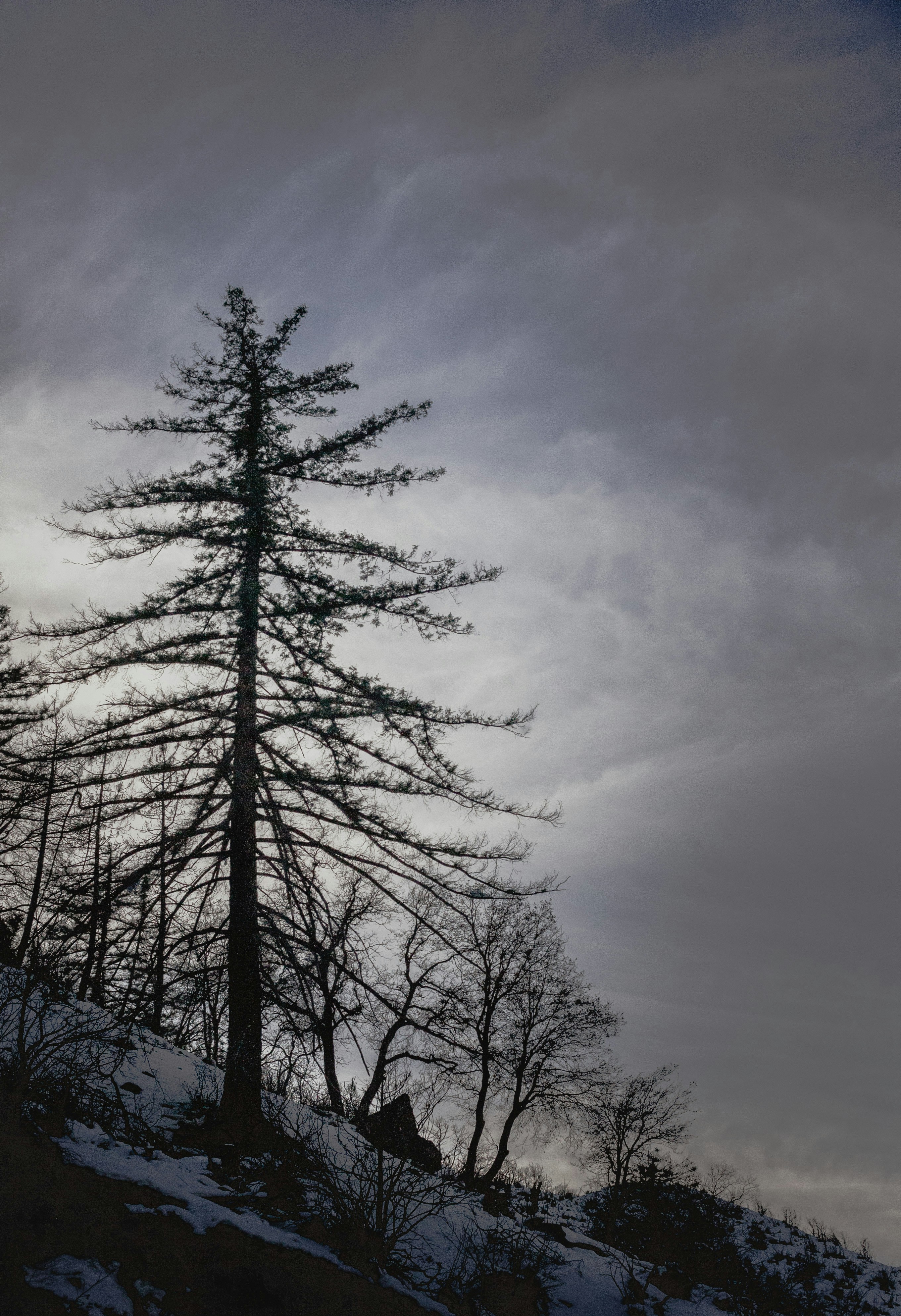 Photo by brandonleclaire