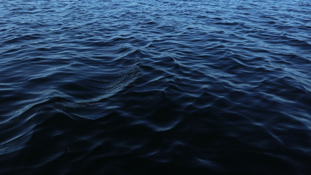 body of water during daytime