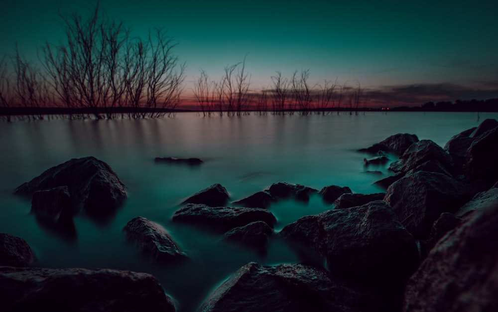 body of water near bare trees during night time