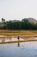 man in black jacket walking on brown field during daytime