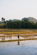 man in black jacket walking on brown field during daytime