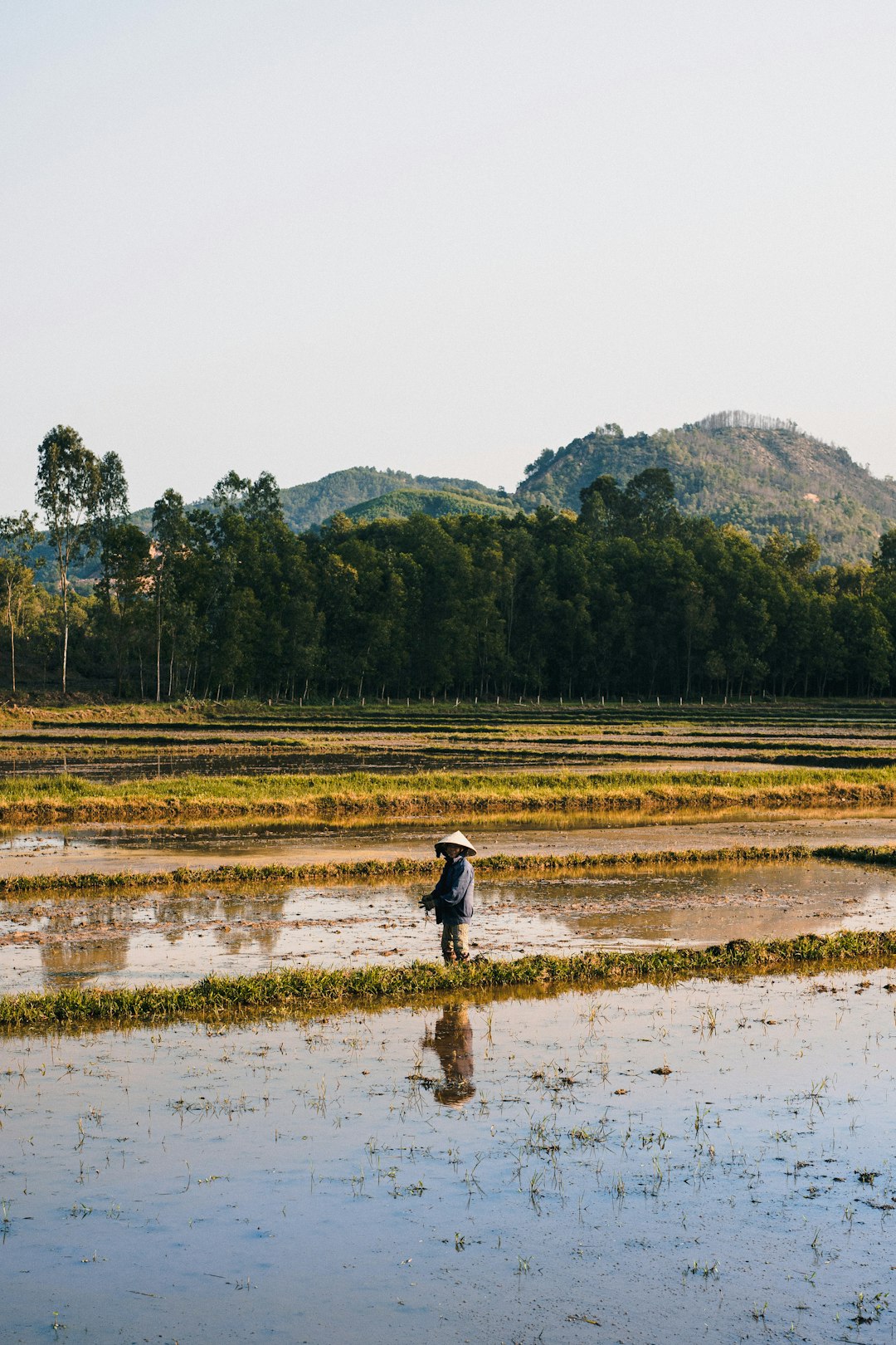 travelers stories about River in Hoi An, Vietnam