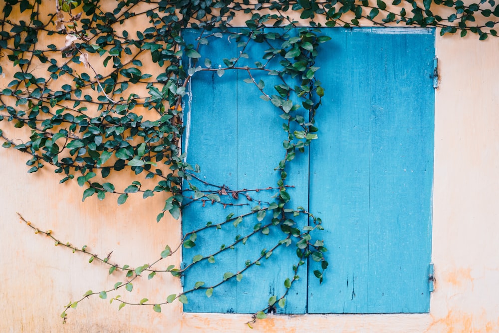 porta de madeira azul com folhas marrons