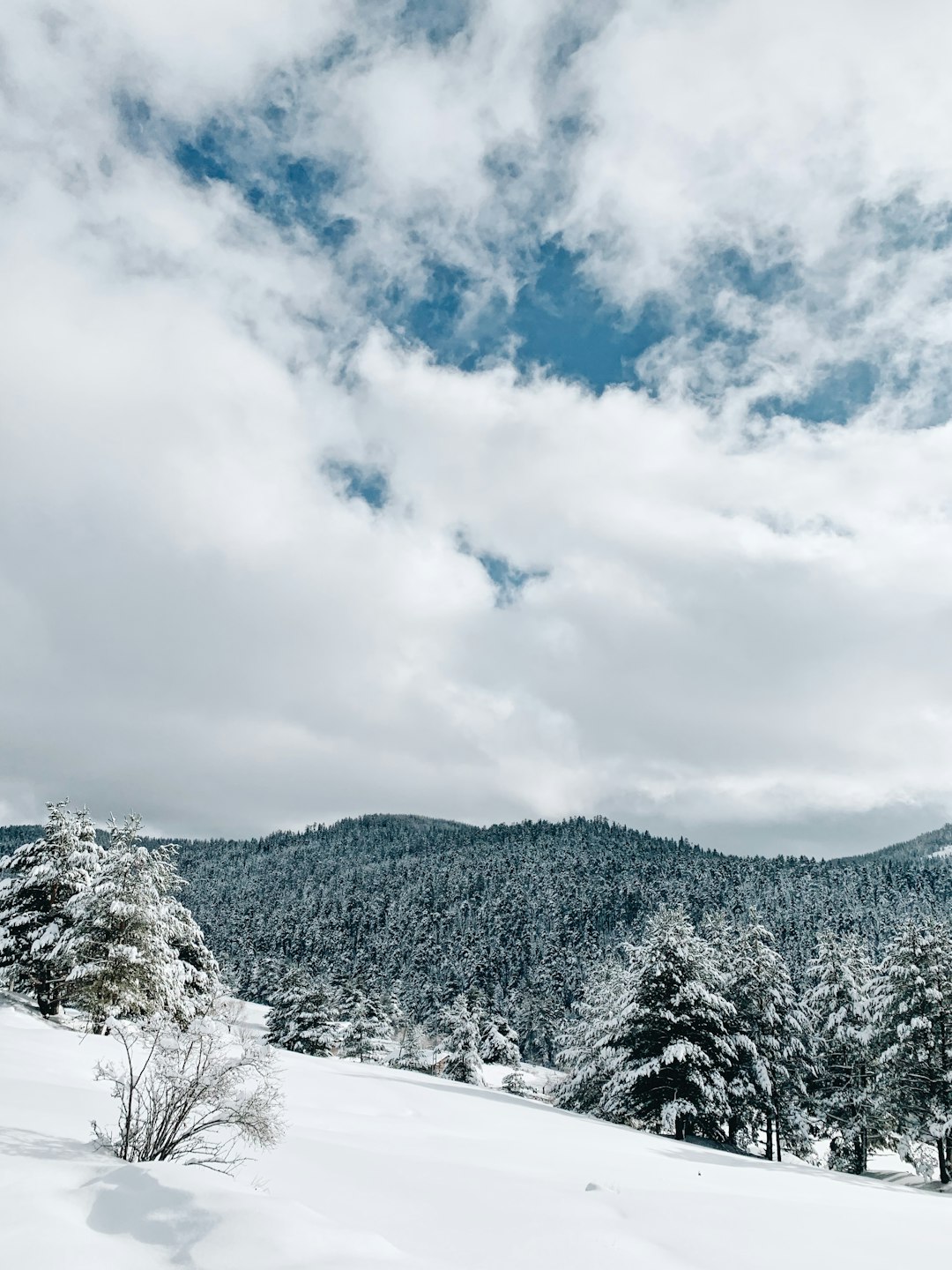 travelers stories about Mountain in Bolu, Turkey