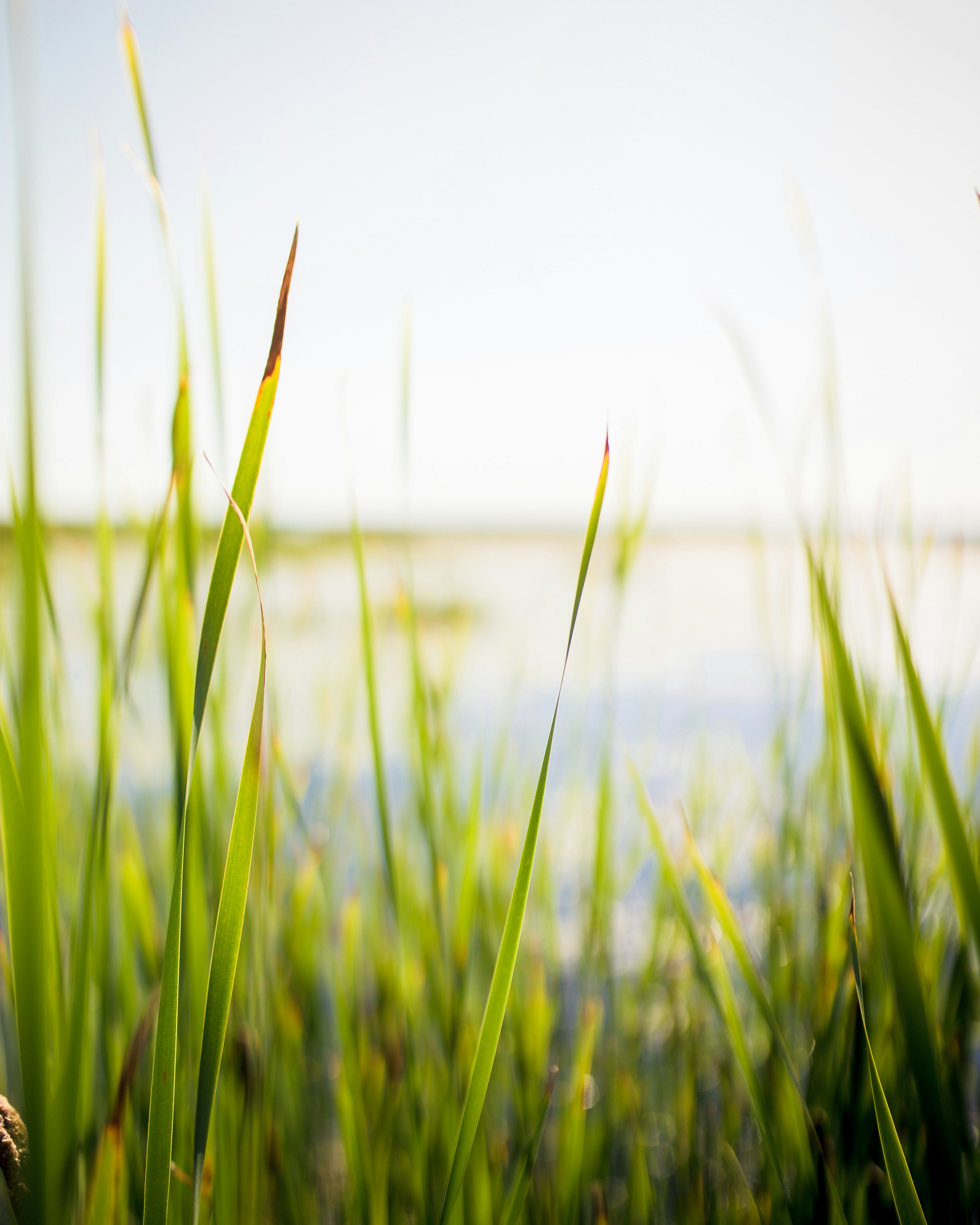 Photo by brandonleclaire