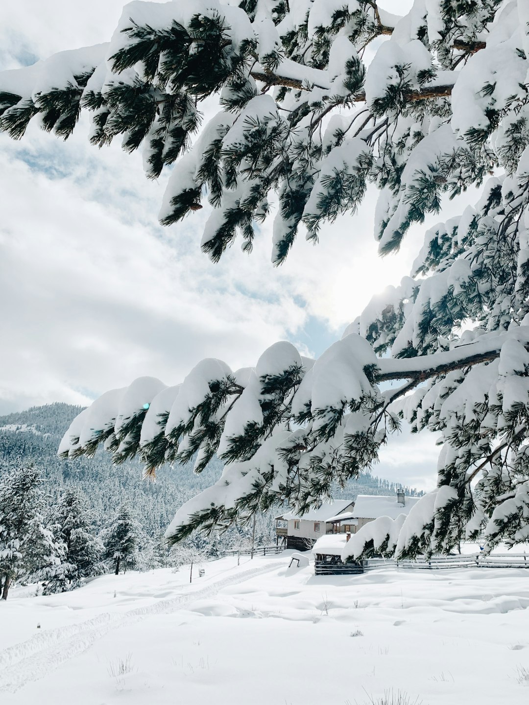 Glacial landform photo spot Bolu Turkey