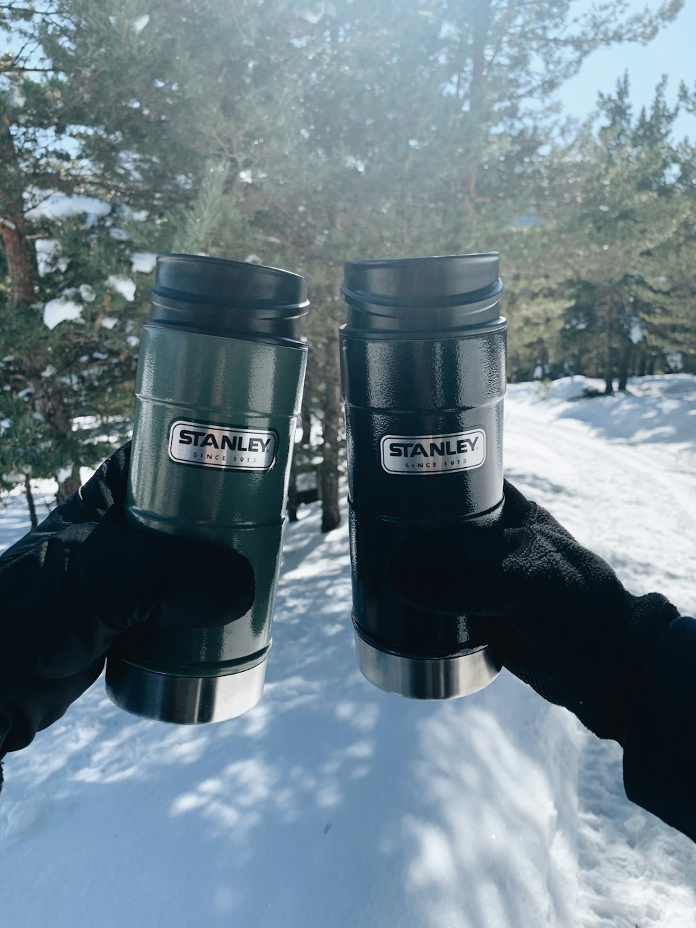 2 black and gray dslr camera lens on snow covered ground during daytime