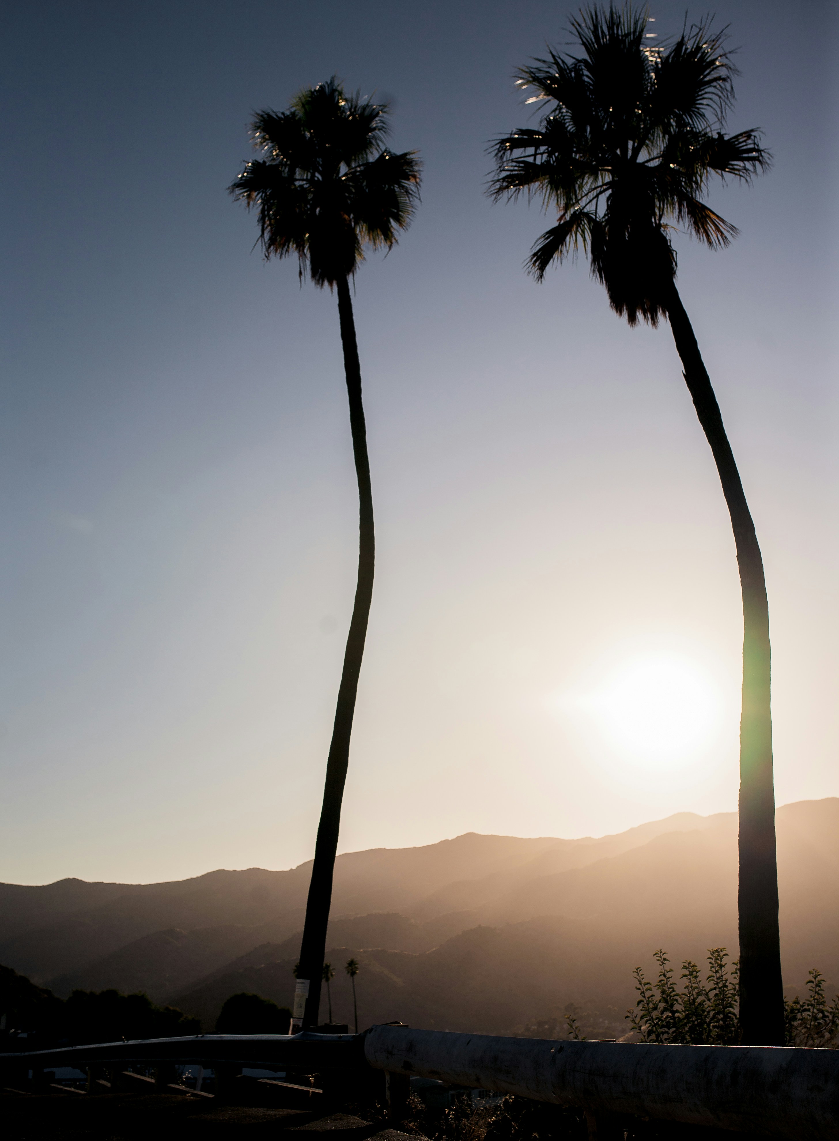 Photo by brandonleclaire