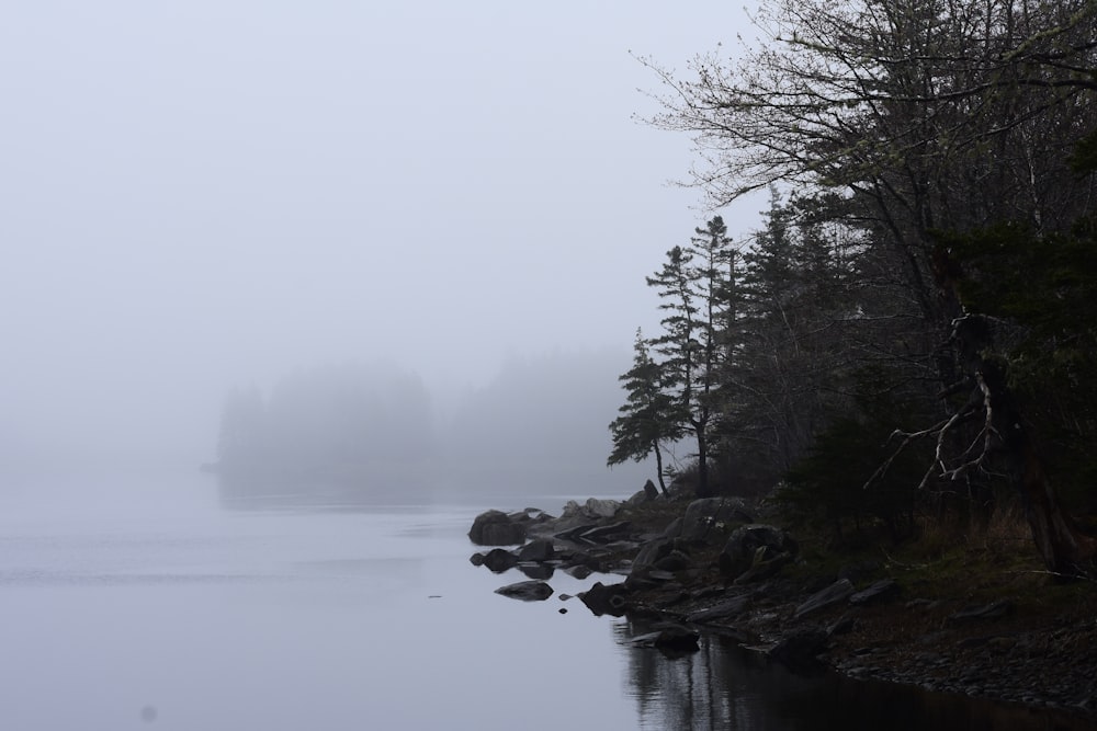 black rocks on body of water during foggy weather