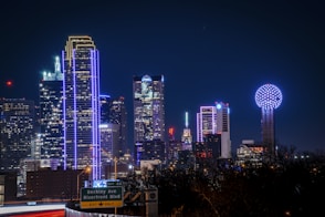 city skyline during night time