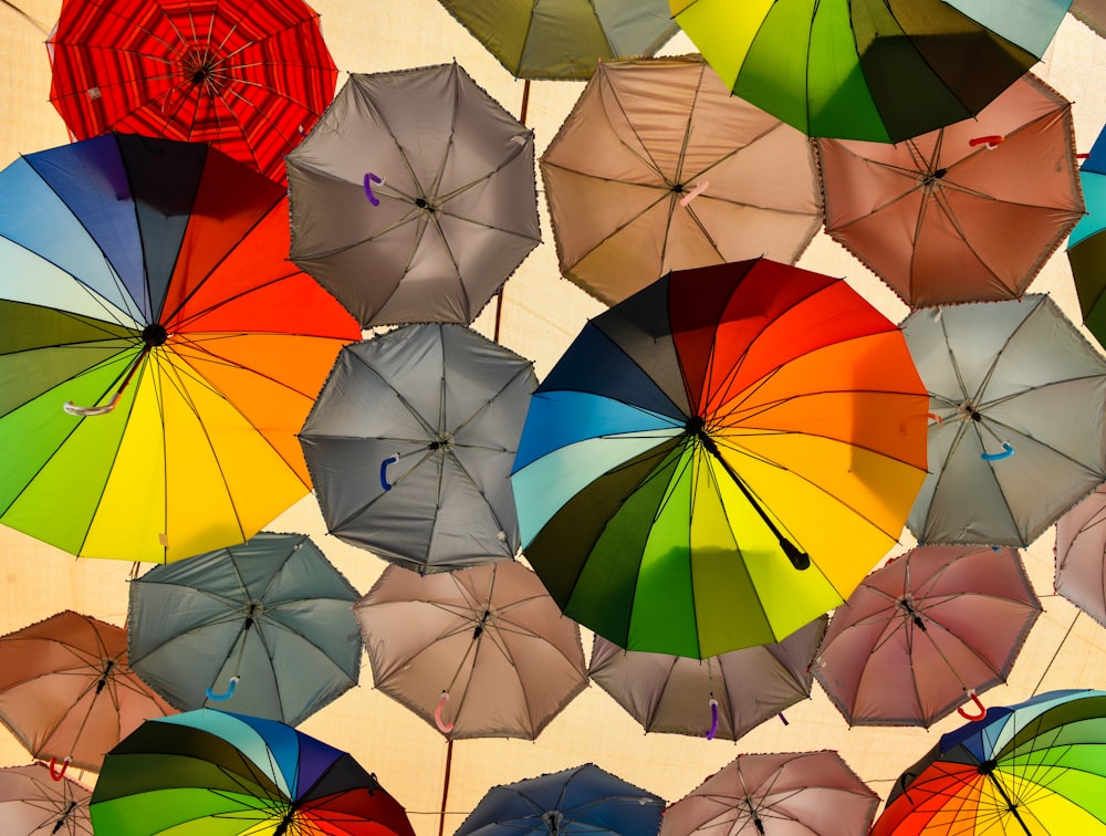 日中の色とりどりの傘の盛り合わせロット