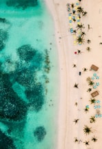 aerial view of people on beach during daytime