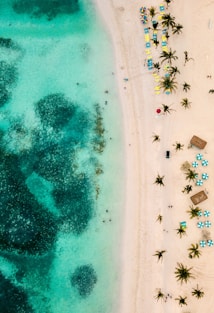 aerial view of people on beach during daytime
